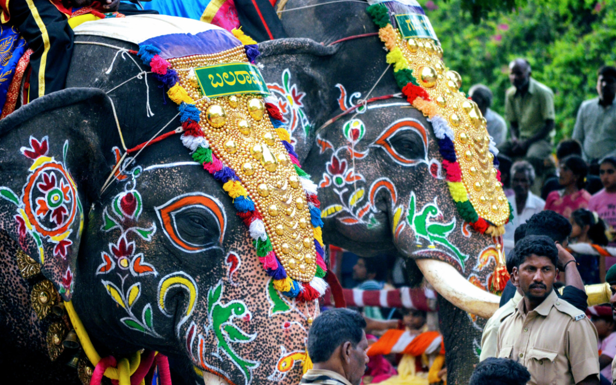 Bunt geschmückte Elefanten beim Dasara Festival in Mysore (Foto: EMS/Marschar) Bunt geschmückte Elefanten beim Dasara Festival in Mysore (Foto: EMS/Marschar)