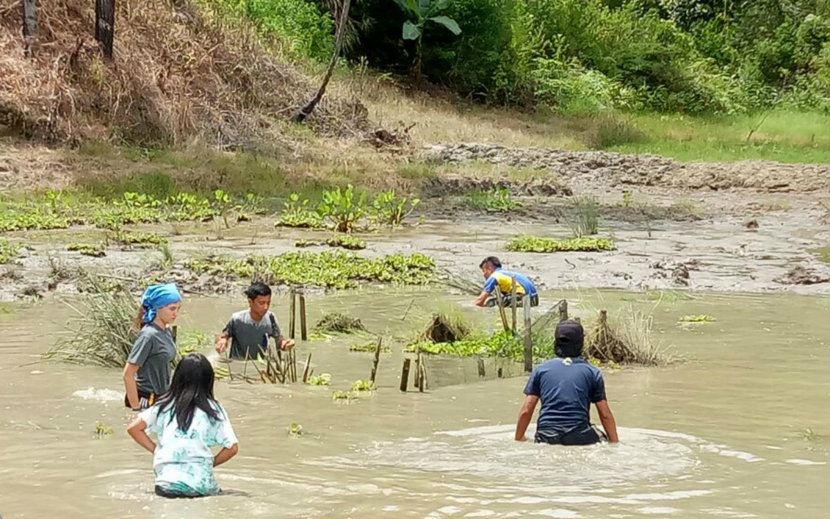 In Eppis Reisfeld ist es sehr schwer vorwärts zu kommen und somit noch beeindruckender wie geschickt er und seine Familie die Fische mit den Händen fangen. (Foto: EMS/Kleinschmidt) In Eppis Reisfeld ist es sehr schwer vorwärts zu kommen und somit noch beeindruckender wie geschickt er und seine Familie die Fische mit den Händen fangen. (Foto: EMS/Kleinschmidt)