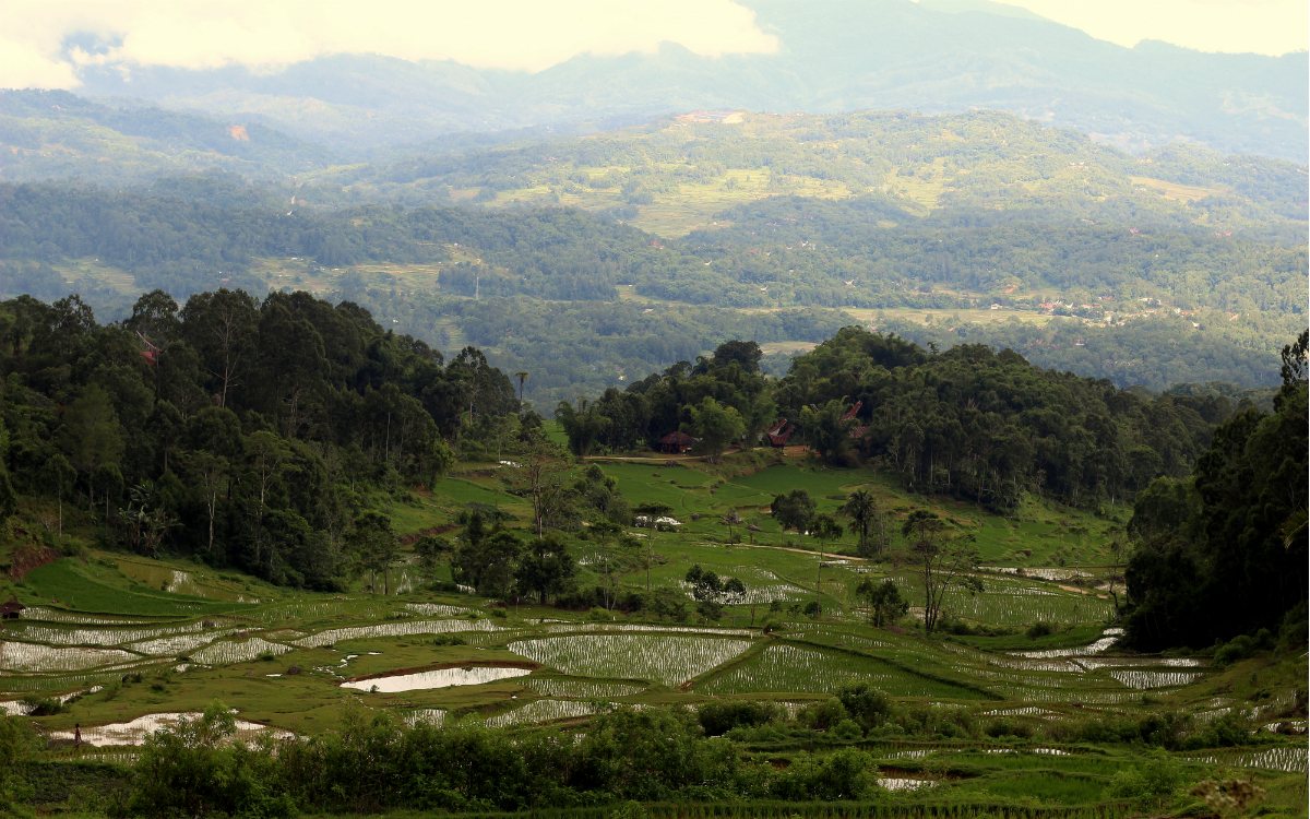 Das wunderschöne Toraja-Land (Foto: EMS/Kahlert) Das wunderschöne Toraja-Land (Foto: EMS/Kahlert)