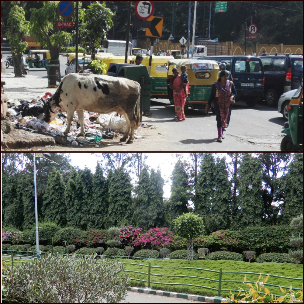 Gegensätze in Bangalore: Ein Müllberg und saubere Natur (Foto: EMS/ Mayer) 