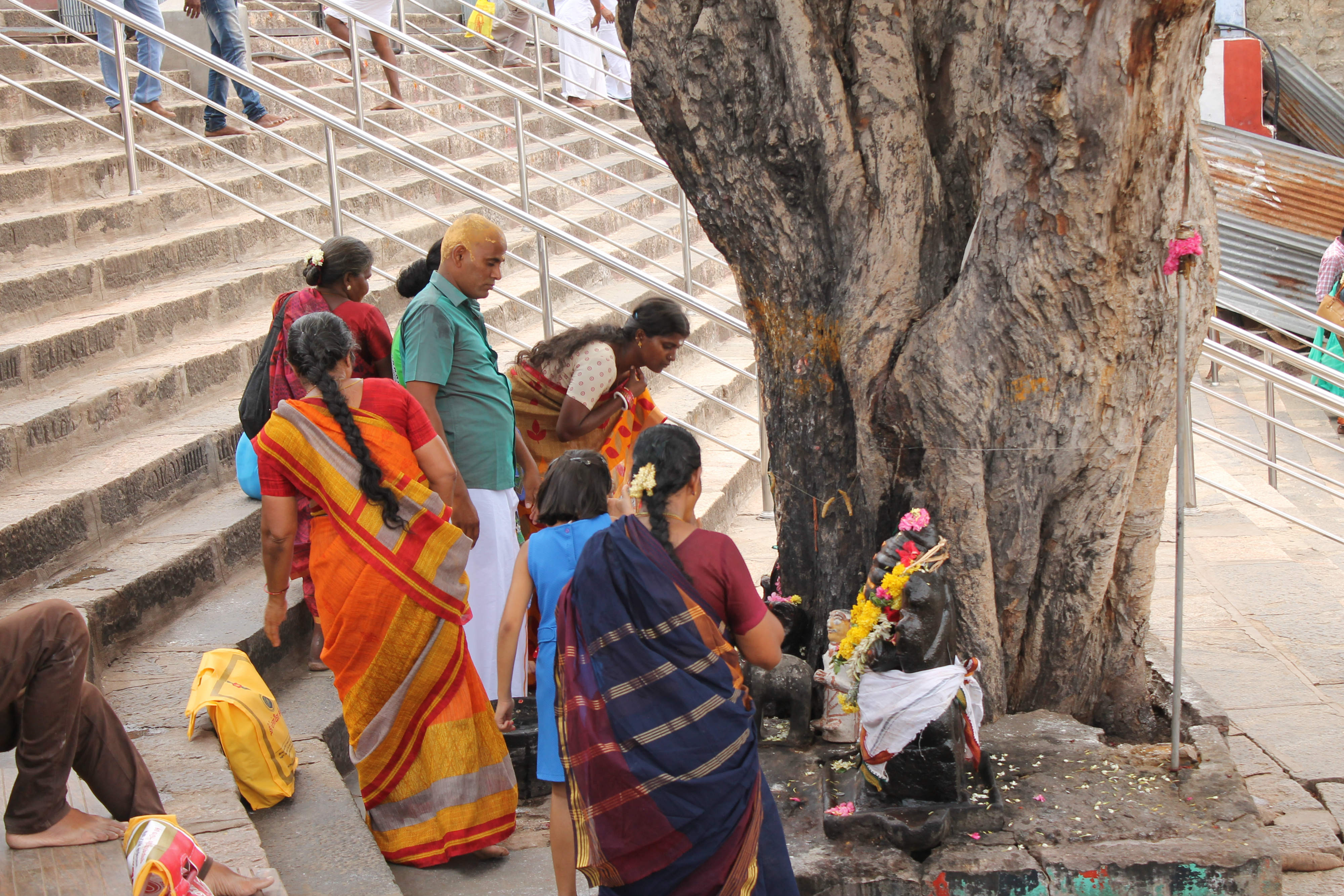 Hindu-Pilgerstätte: Murugan-Tempel Palani (Foto: EMS/Hildenbrandt)
