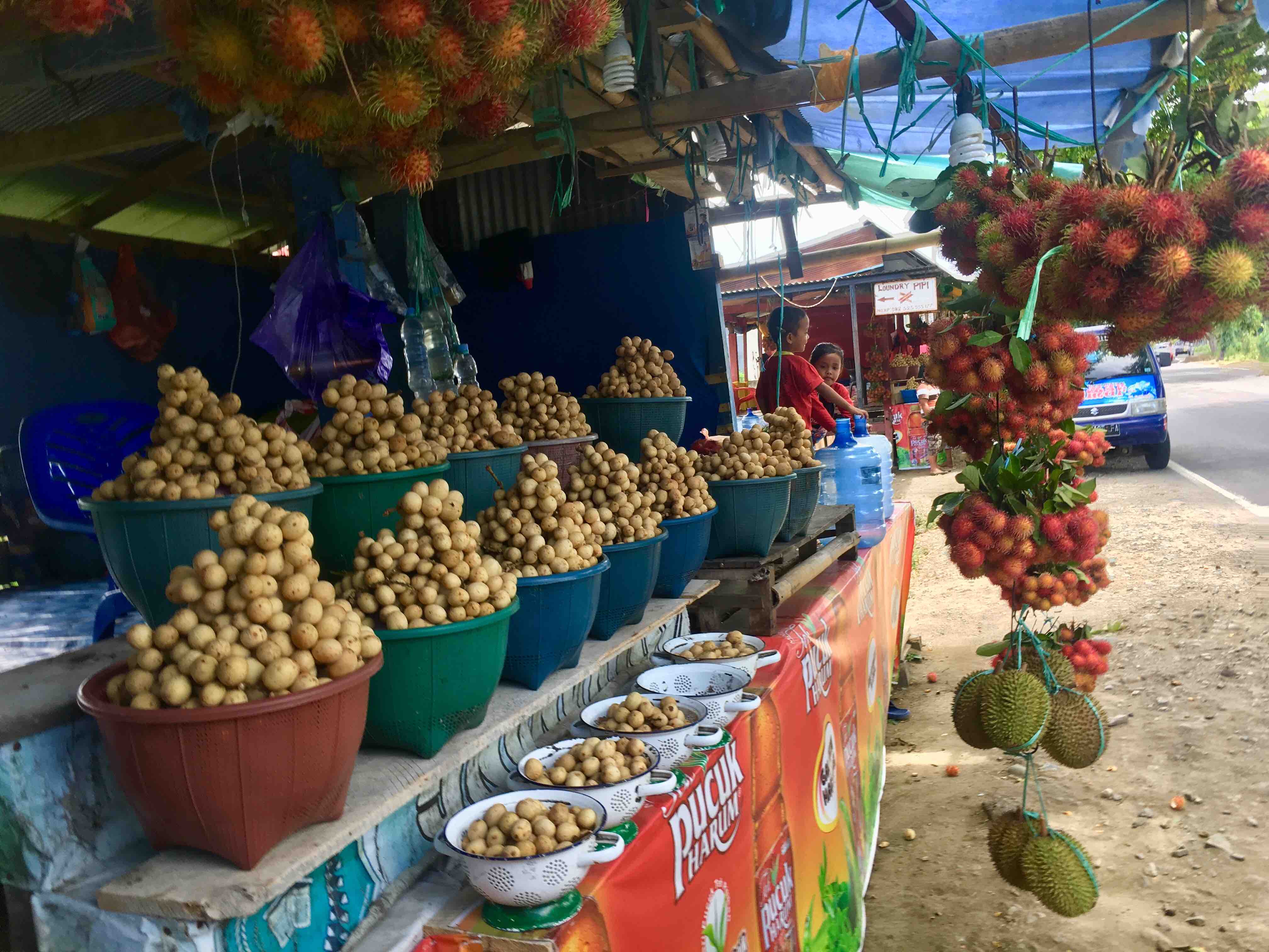 Momentan in Saison: Rambutan, Langsam und Durian (Foto: EMS/Dunker)