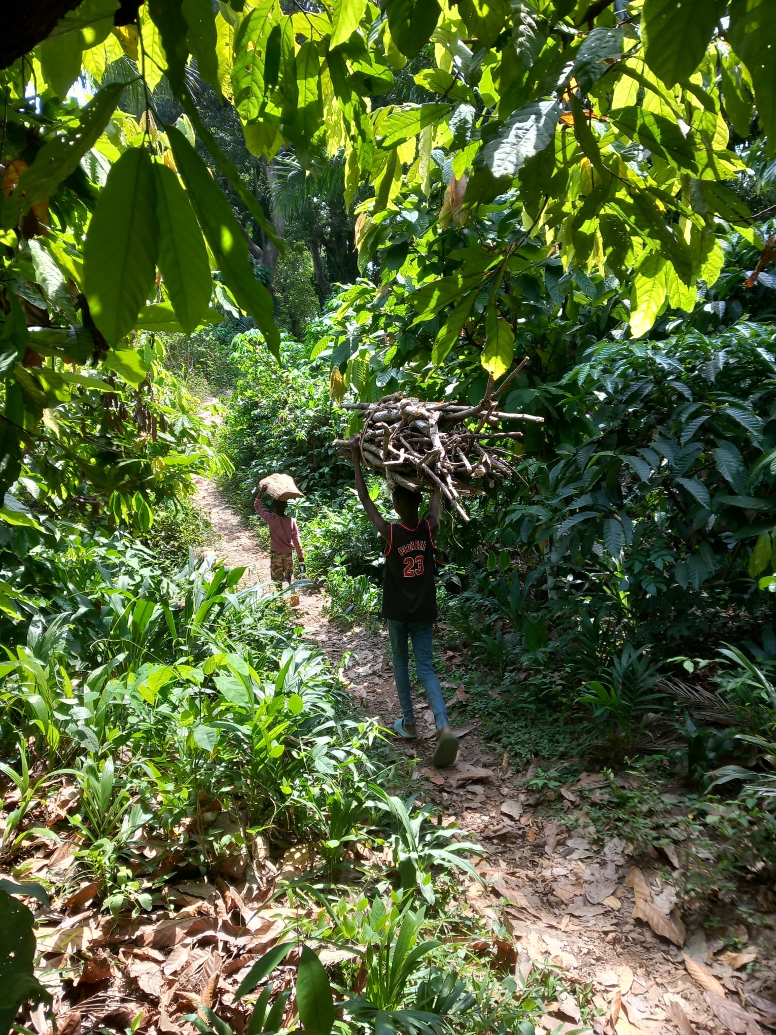 Two girls carrying firewood (Bild: EMS/Cattarin) Two girls carrying firewood (Bild: EMS/Cattarin)