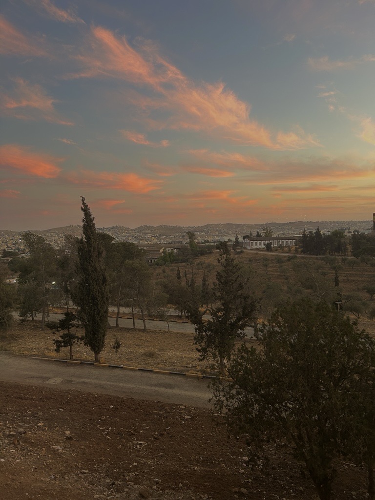 Ausblick aus meinem Zimmer (Foto: EMS/Heuvelmann)