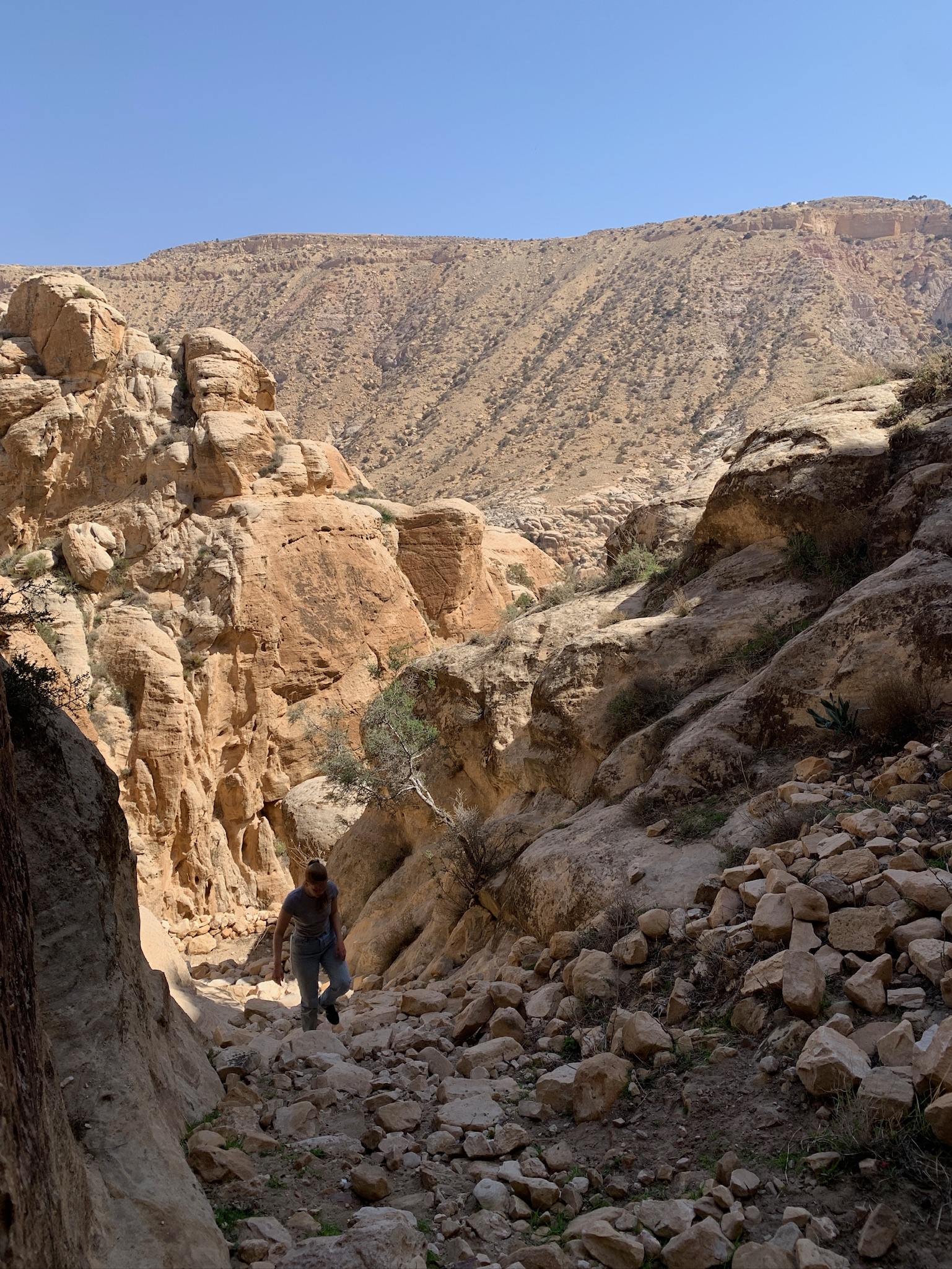 Tafilah (EMS/Schnotz) 