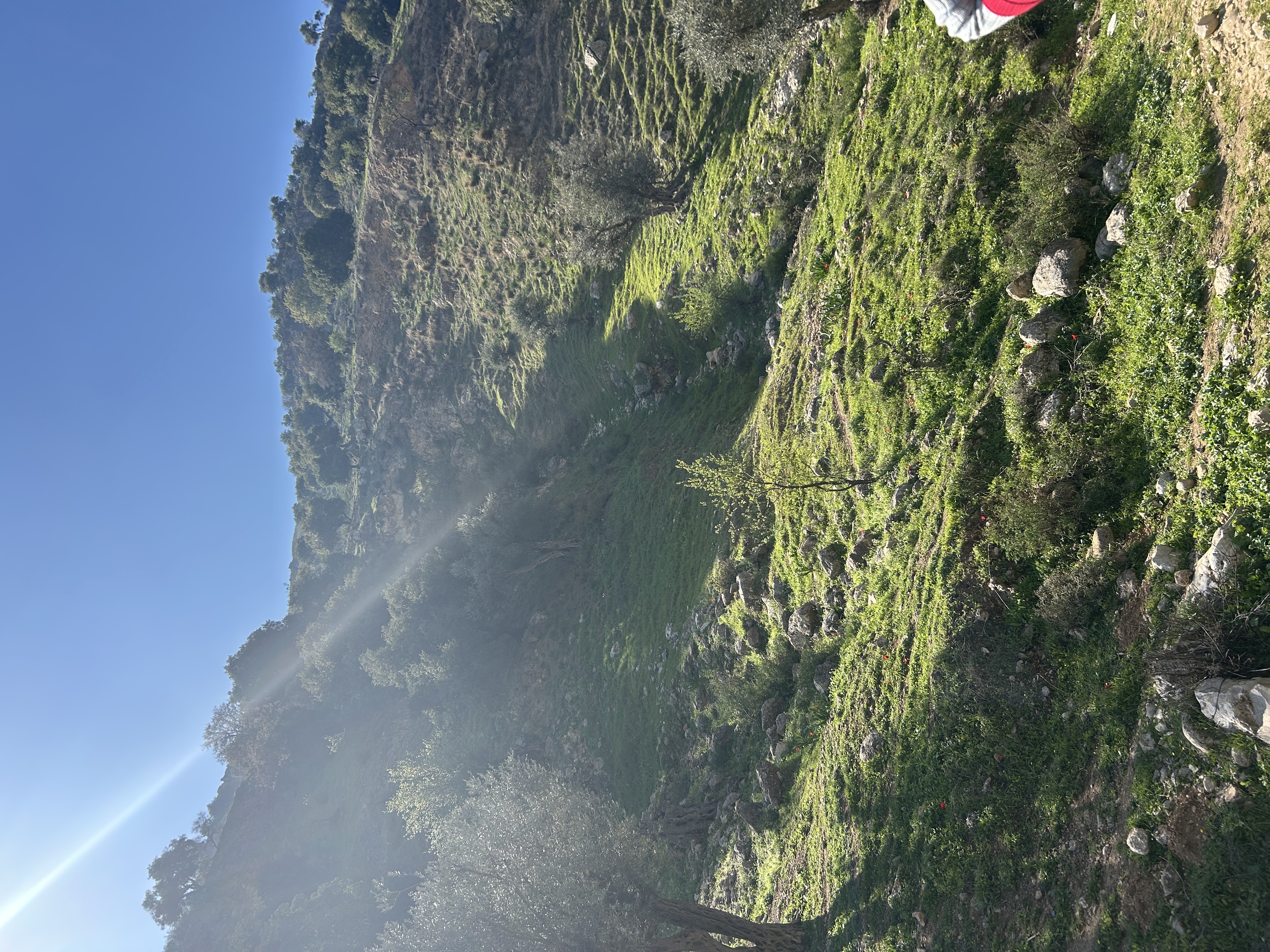 Wadi Rayyan (EMS/Heuvelmann)