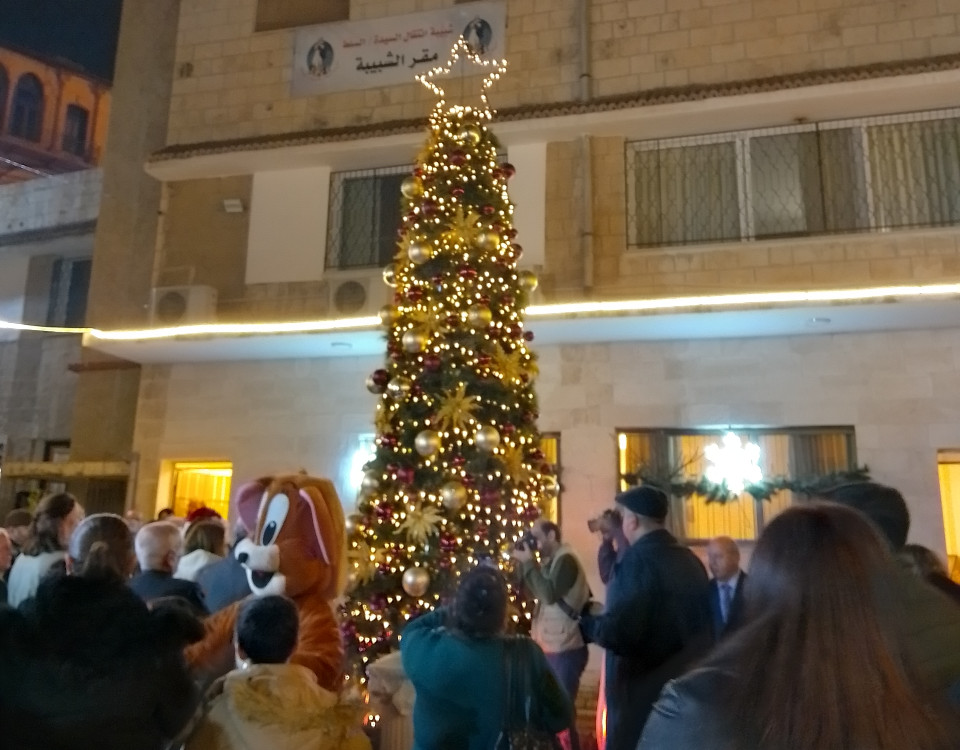 Der erleuchtete Weihnachtsbaum (Foto: EMS/Petrasch)