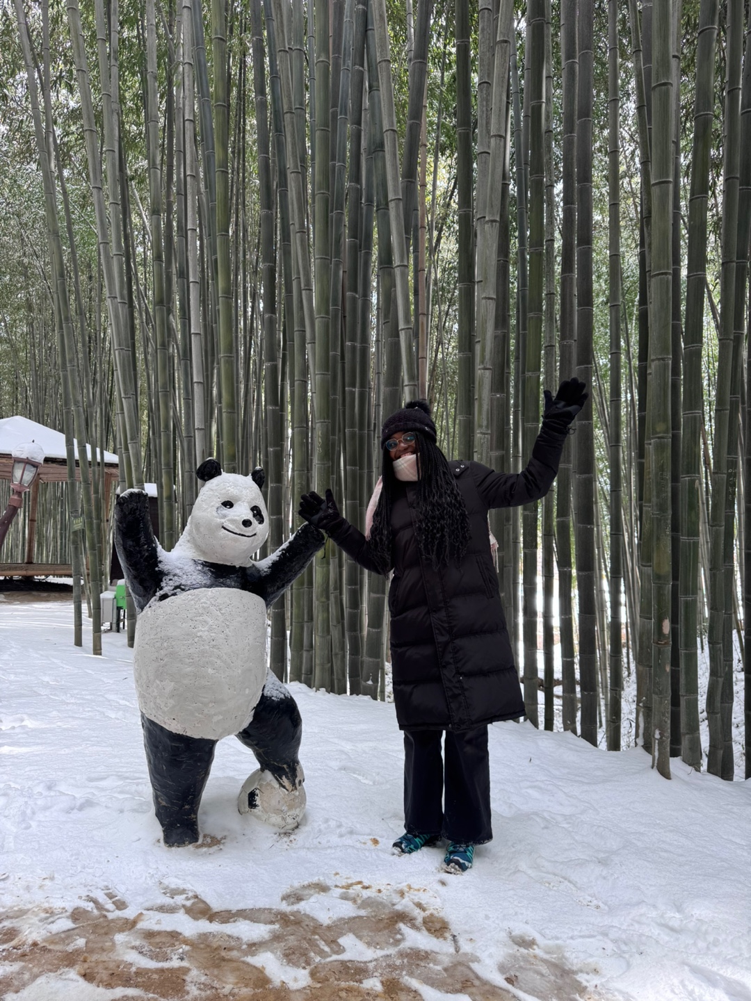 Schneebedeckte Bambuswald in Damyang (Foto: EMS/Plum)