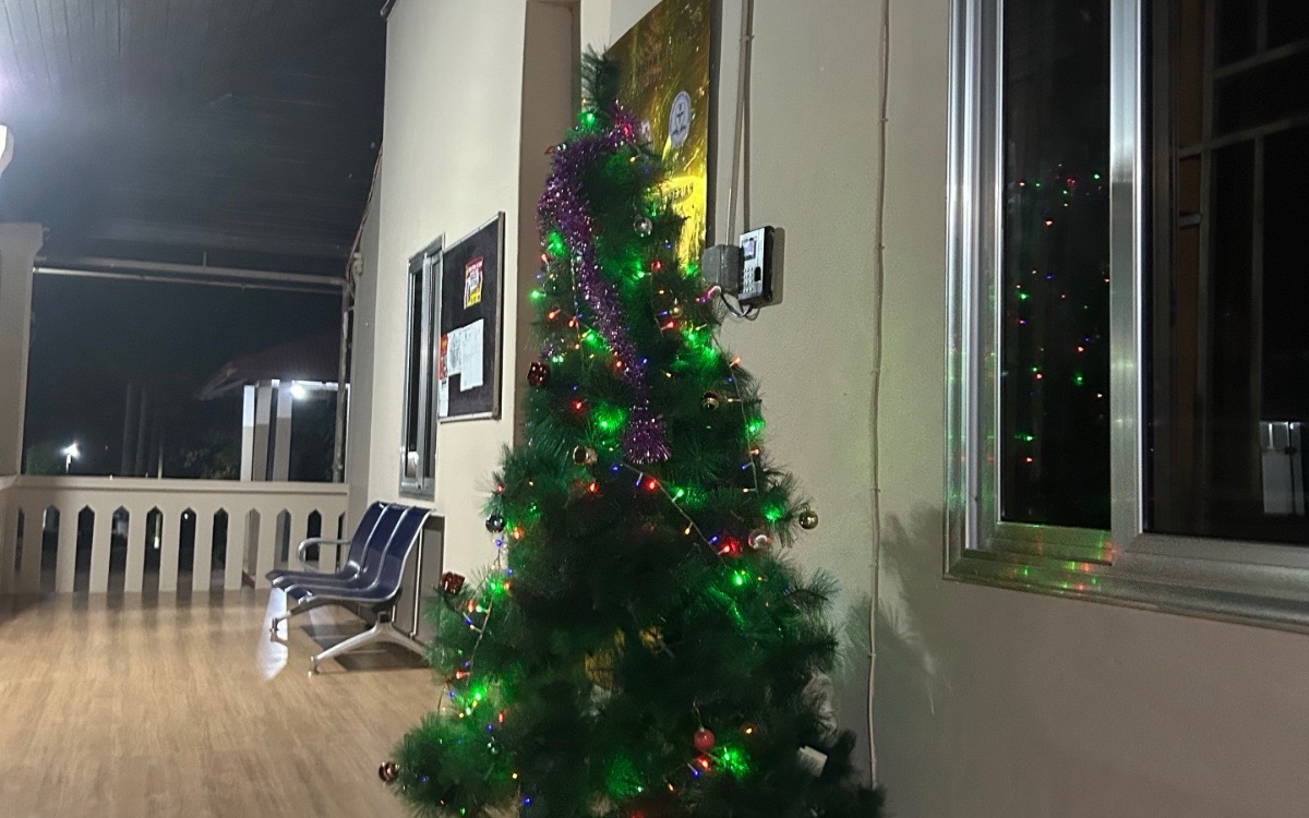 Tannenbaum im Krankenhaus (EMS/ Richter)