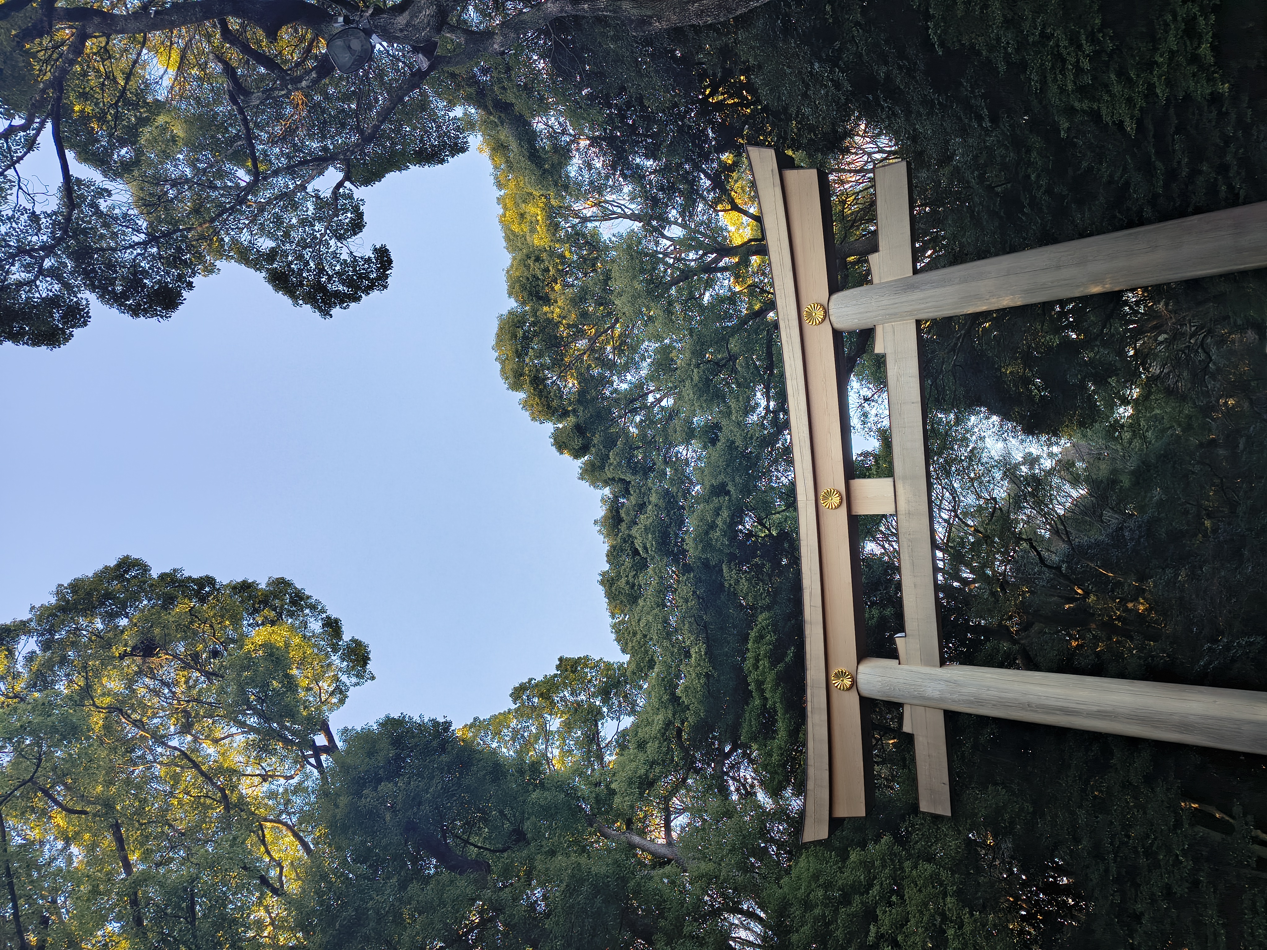 Das Torii zum Meiji-Schrein in Tokio (Foto: EMS/Gruß)