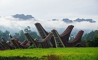 Charakteristische Toraja Häuser (Foto: EMS/Eßinger) 