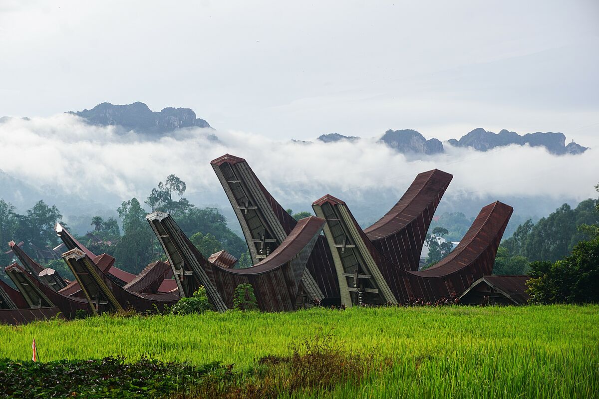 Charakteristische Toraja Häuser (Foto: EMS/Eßinger) Charakteristische Toraja Häuser (Foto: EMS/Eßinger)