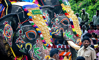 Bunt geschmückte Elefanten beim Dasara Festival in Mysore (Foto: EMS/Marschar)