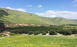 Vor ein paar Monaten konnte ich nicht glauben, dass es in der Regenzeit in Jordanien so aufblüht: Blumen und Olivenbäume am Fuß der Golanhöhen Mitte März. (Foto: EMS/Schiller)