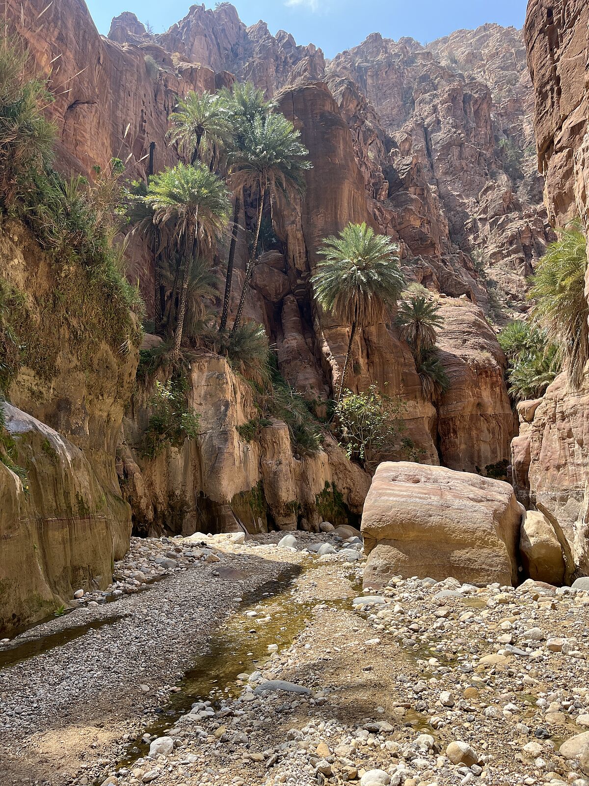 Wadi-Wanderung in der Nähe von Dana. (Foto: EMS/Leidel)